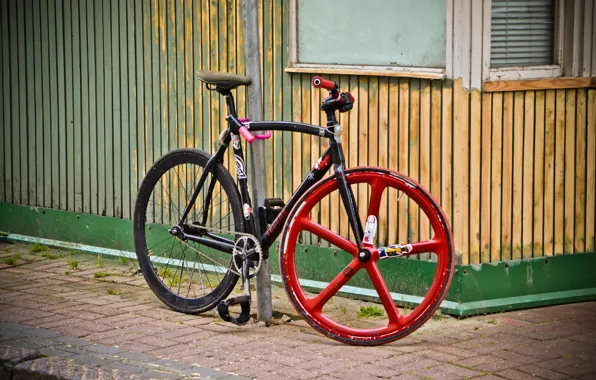 Bike, sport, frame, wheel, Cycling, roadies