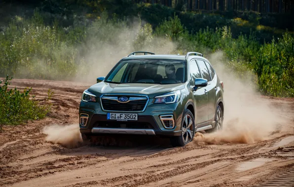 Picture sand, dust, Subaru, crossover, Forester, 2019