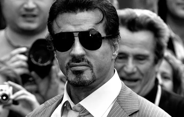 Picture actor, male, Sylvester Stallone