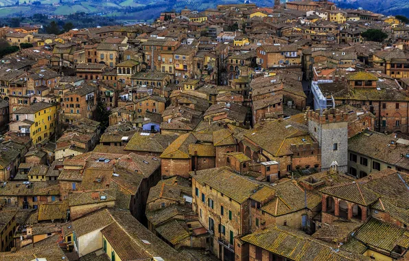 Roof, home, Italy, Siena