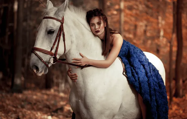 Picture look, girl, mood, horse, horse, dress, bokeh