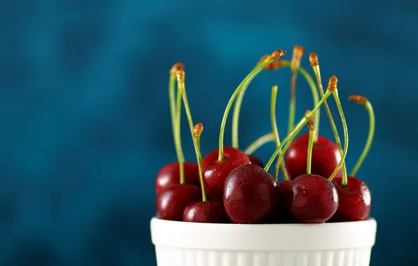 Drops, cherry, berries, pot, blue background, cherry, bucket, juicy