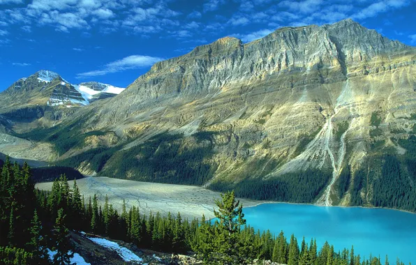 Forest, mountains, lake, rocks, Canada, Albert, Banff National Park, Sunny