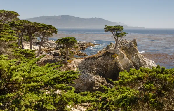 Picture mountains, coast, CA, coast, California, mountains, cypress, Monterey County