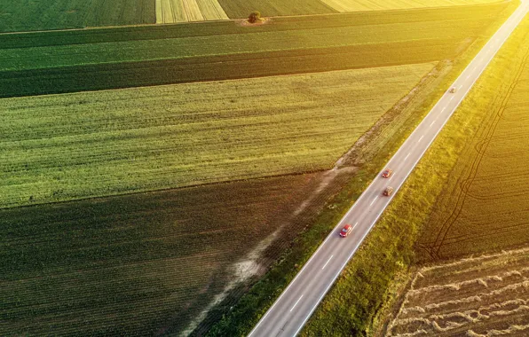 Road, field, machine, summer, light