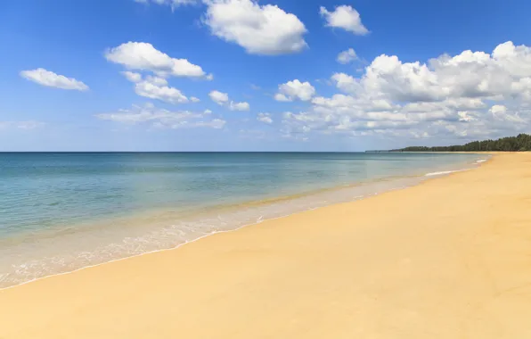 Sand, sea, wave, beach, summer, summer, beach, sea