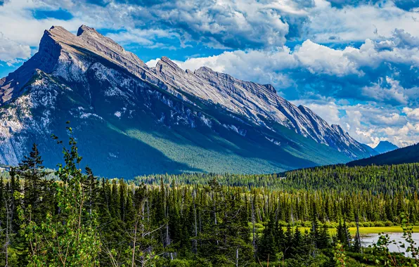 Forest, landscape, nature, lake, river, mountain
