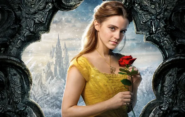 Cinema, girl, love, rose, Disney, Emma Watson, flower, movie