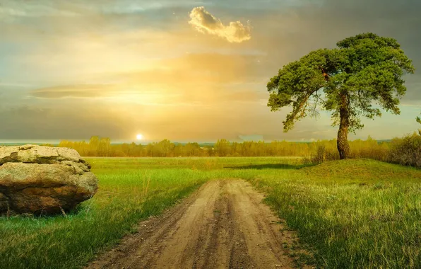 Road, forest, the sky, grass, clouds, tree, stone, dal