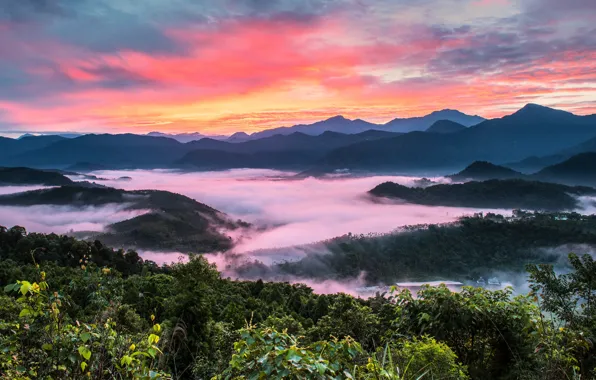 Mountains, fog, dawn, hills, vegetation, Thailand
