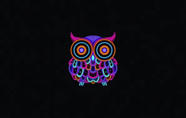 Color, Minimalism, Owl, Style, Background, Art, Art, Style
