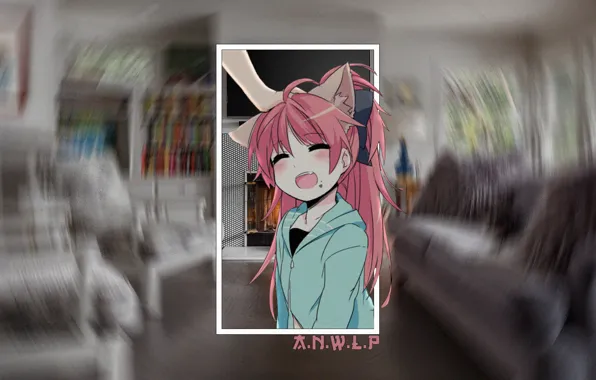Girl, room, anime, neko, Chan, neko-Chan, madskillz