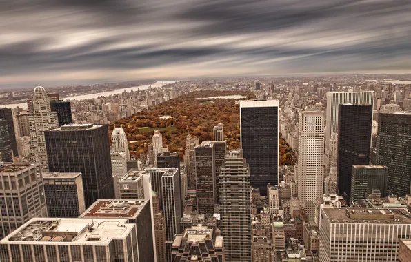 Clouds, Park, New York, skyscrapers