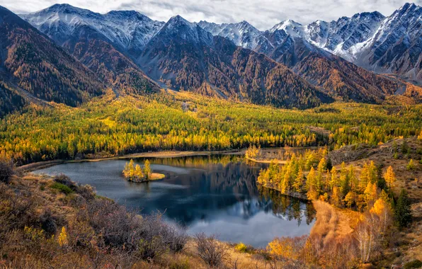 Ice, trees, beautiful, mountains, lake, snow, cold