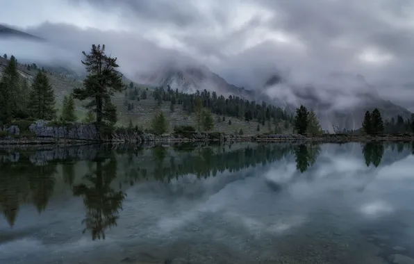 Picture the sky, trees, mountains, nature, fog, lake, rocks