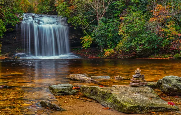 Autumn, forest, trees, stream, stones, waterfall, USA, waterfalls