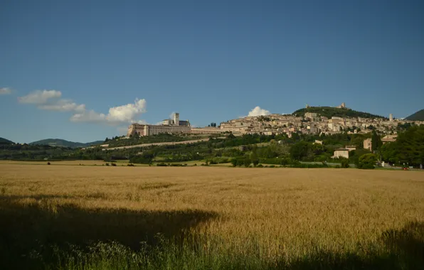 Picture Italy, Field, Italy, Italia, Assisi, Fields, Assise