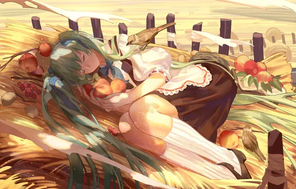 Picture girl, birds, anime, art, fruit, vocaloid, hatsune miku, zicai tang