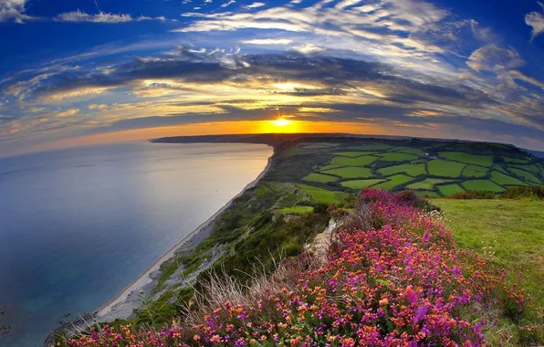 Sea, the sky, the sun, flowers