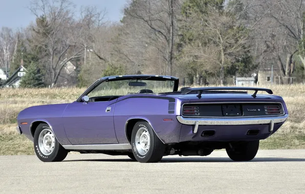 Picture muscle car, 1970, Plymouth, back, Plymouth, Cuda, Convertible, Hemi