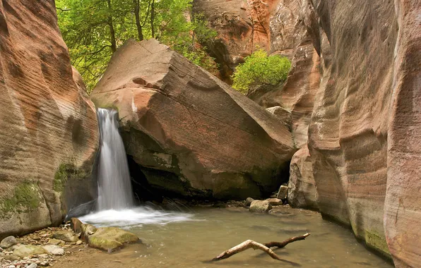 Trees, stones, rocks, waterfall, canyon, gorge, Zion National Park, USA