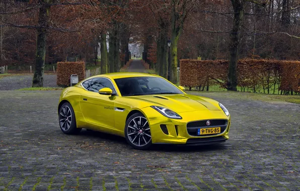 Picture gold, jaguar, coupe, f-type