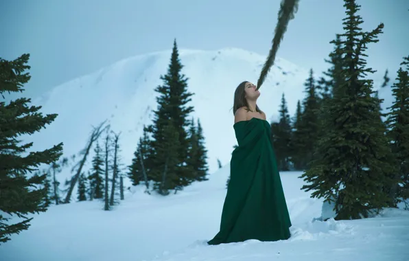 Girl, snow, tree, Lichon, Elimination