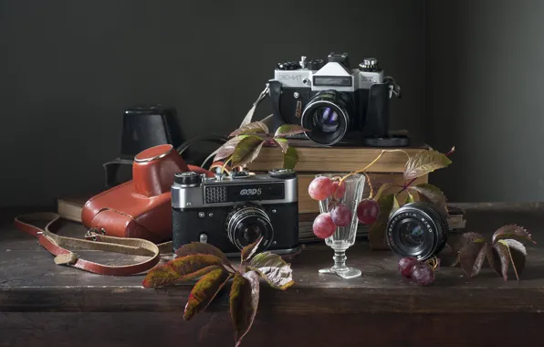 Leaves, style, retro, table, old, grapes, USSR, still life