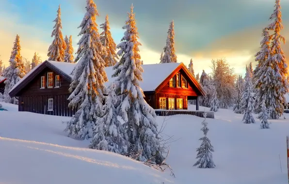 Picture winter, forest, the sky, snow, trees, landscape, nature, house