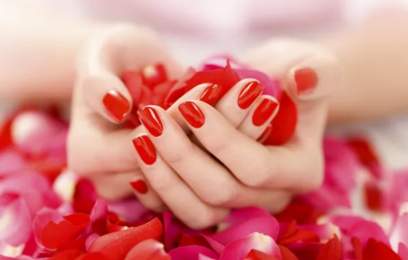Picture hands, petals, gently, manicure, red nail Polish