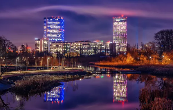 The sky, water, trees, the city, lights, reflection, building, home
