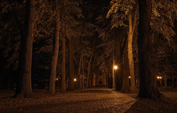 Landscape, Czech republic, Alley at night