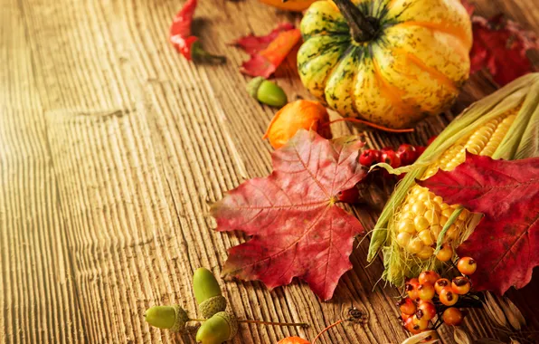 Picture autumn, leaves, berries, tree, corn, harvest, pumpkin