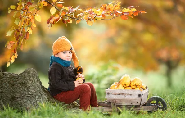 Picture autumn, leaves, branches, hat, boy, garden, truck, fruit