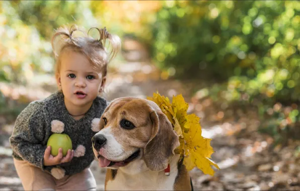 Autumn, look, emotions, dog, girl, girl, hairstyle, two