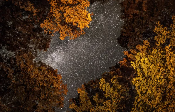 Picture autumn, the sky, photo, photographer, night, Greg Stevenson, star