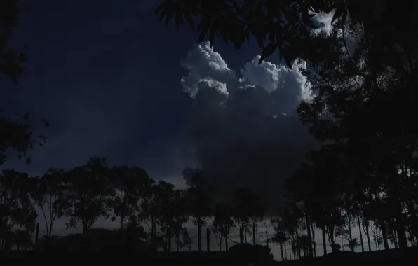 Picture the sky, clouds, trees