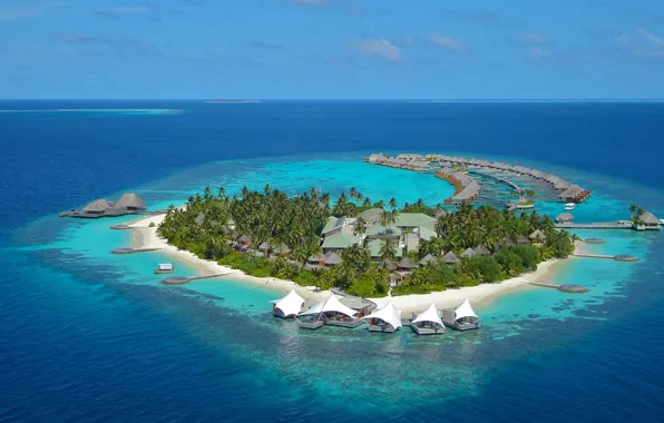 Palm trees, the ocean, island, The Maldives, resort, beaches
