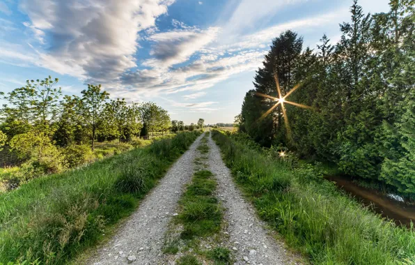 Wallpaper summer, the sun, road, nature