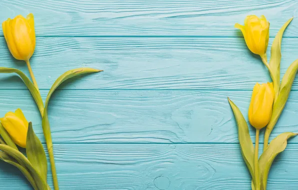 Flowers, Tulips, Yellow, Background