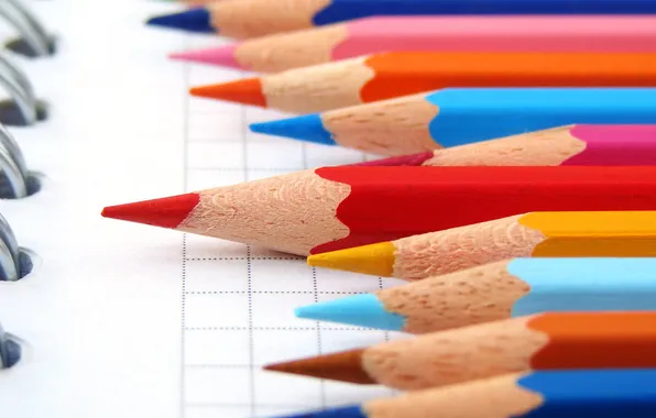 Picture color, pencils, notebook