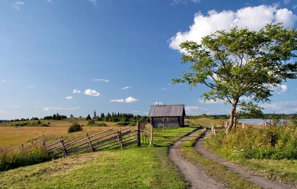Picture road, field, house, tree