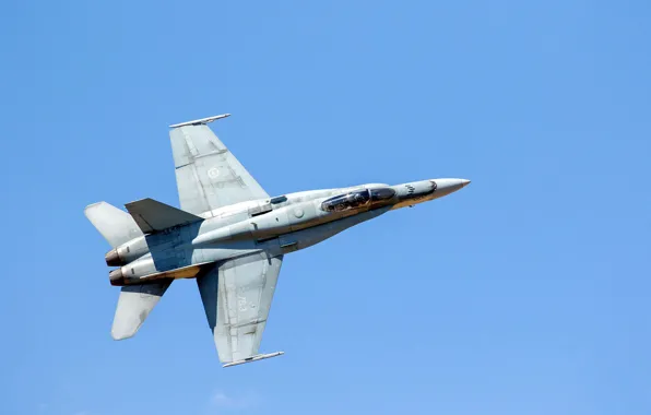 Picture fighter, flight, CF-188 Hornet