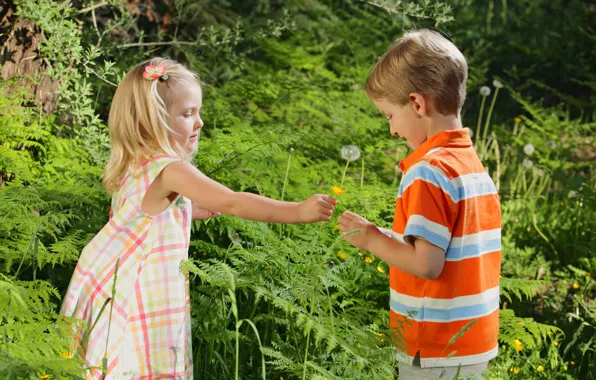 Flower, grass, love, children, childhood, romance, rose, child