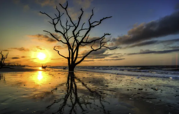 Sea, the sky, clouds, trees, sunset