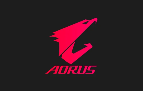 Picture logo, gigabyte, aorus
