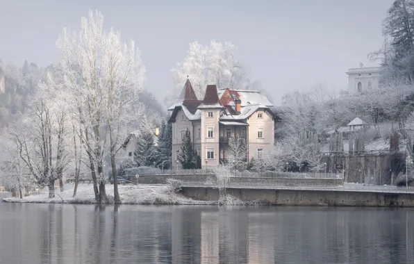Winter, frost, light, snow, trees, landscape, lake, house