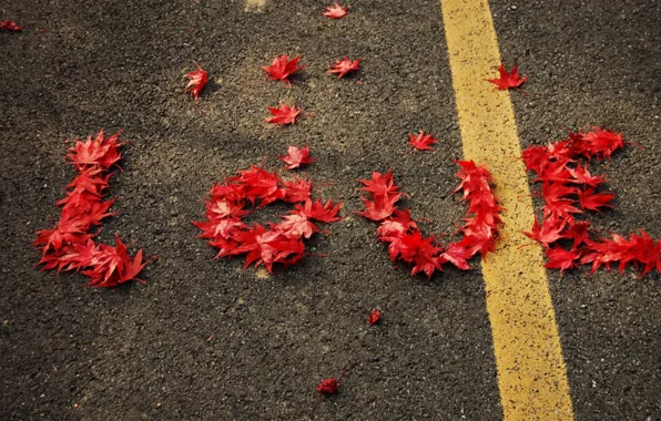 Colors, red, love, road, photography, photo, beautiful, autumn