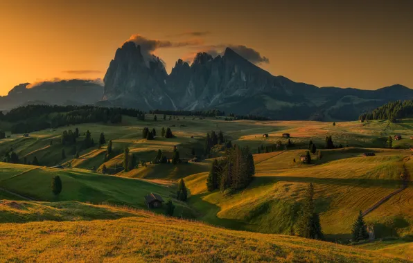 Forest, mountains, field, Alps, house