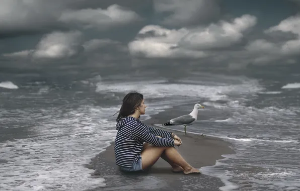 Picture sea, girl, bird